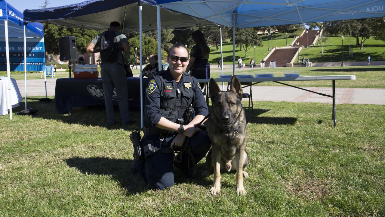 K9 police department on sale